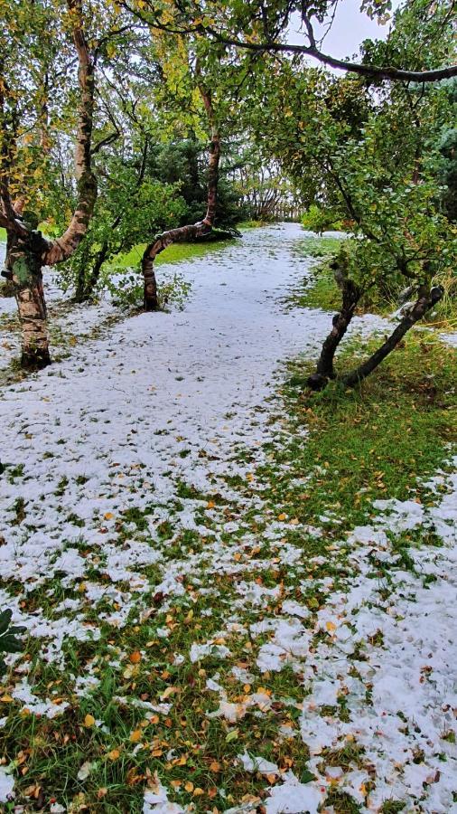 Karuna Guesthouse Saudarkrokur Zewnętrze zdjęcie