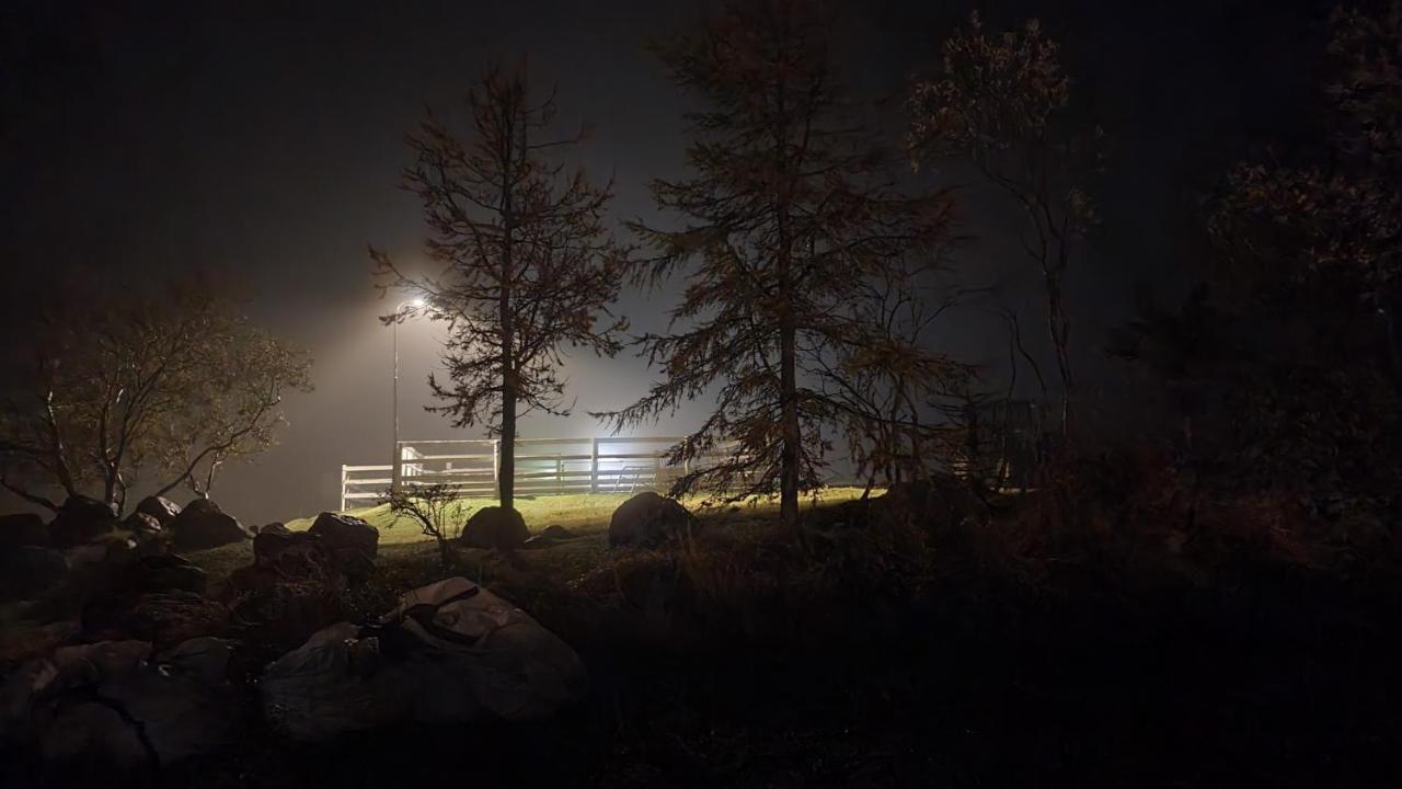 Karuna Guesthouse Saudarkrokur Zewnętrze zdjęcie