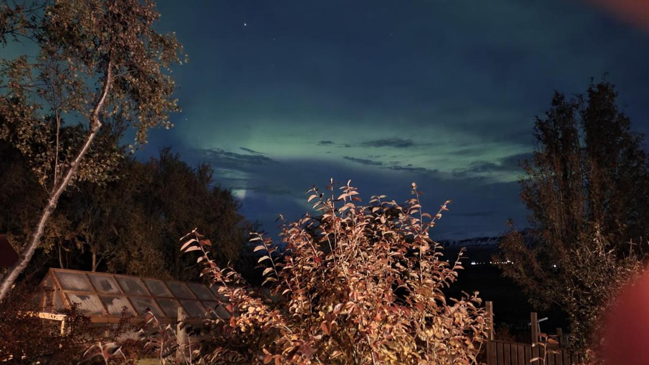 Karuna Guesthouse Saudarkrokur Zewnętrze zdjęcie