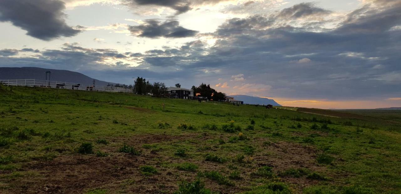 Karuna Guesthouse Saudarkrokur Zewnętrze zdjęcie